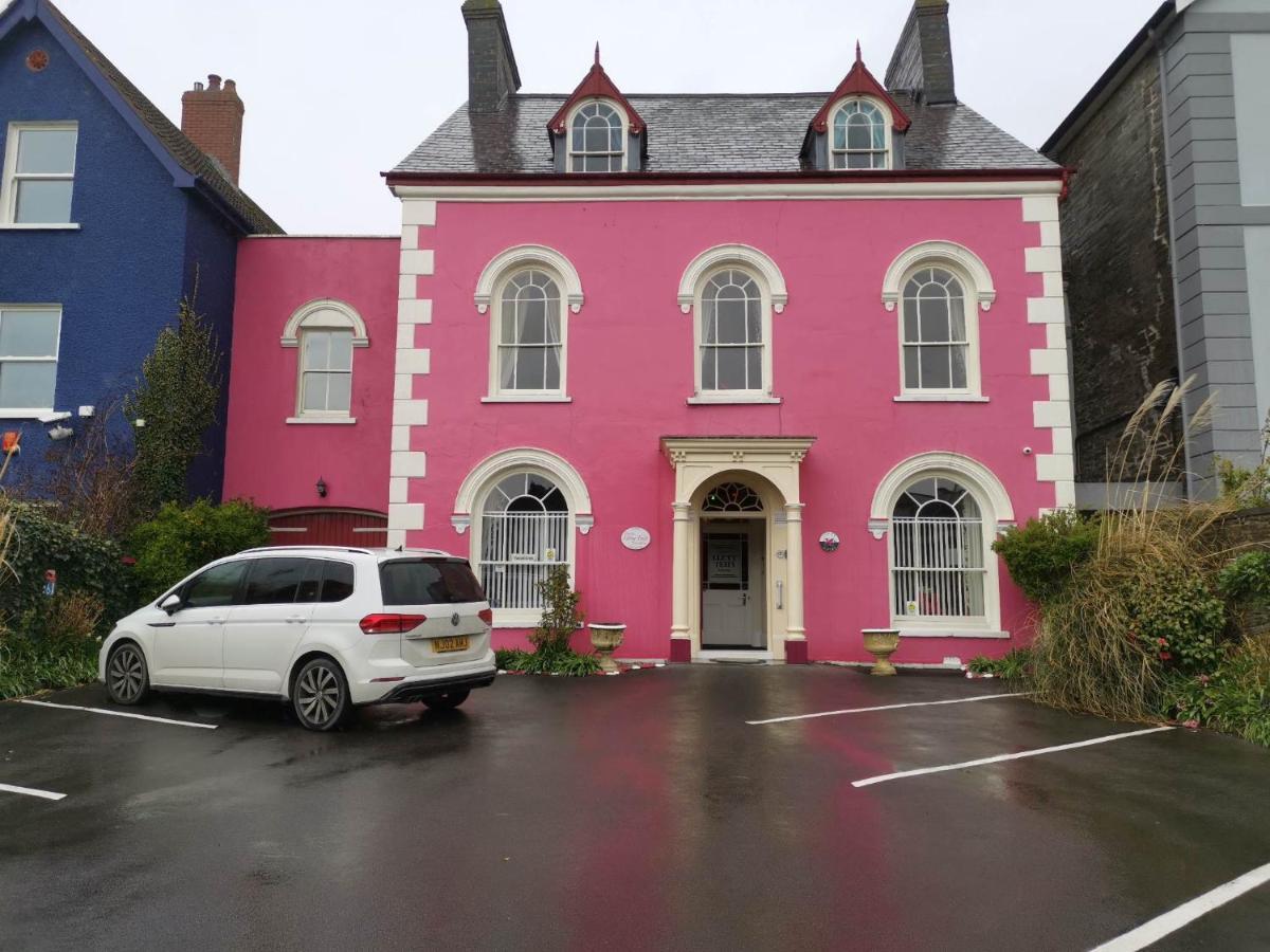 Llety Teifi Guest House カーディガン エクステリア 写真