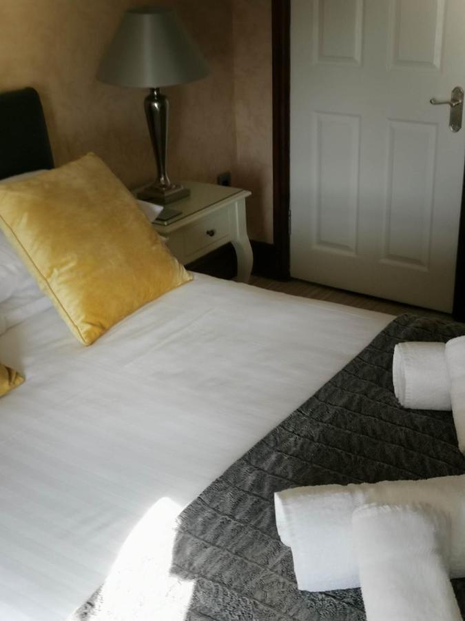 Llety Teifi Guest House カーディガン エクステリア 写真